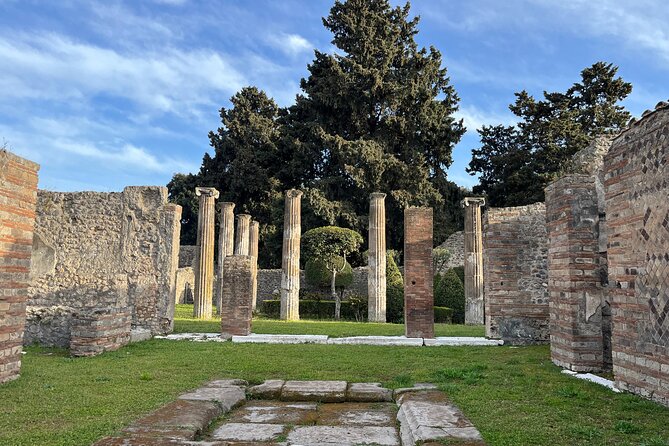 Full Day Tour to Pompeii, Vesuvius and Wine Tasting - Who will get the most from this day