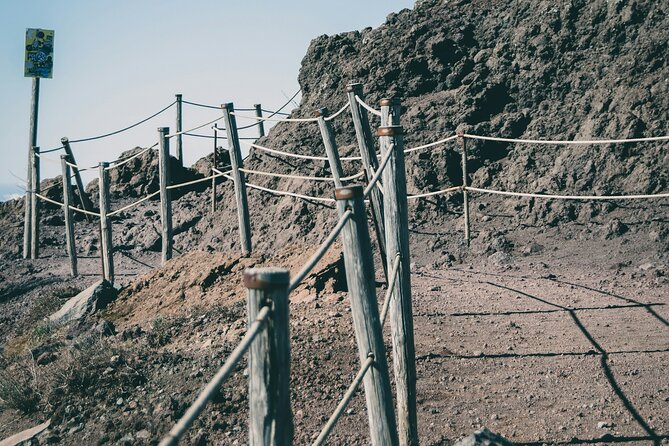 Full Day Tour to Pompeii, Vesuvius and Wine Tasting - Should you book it?