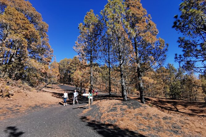 Full Day Tour with Hiking to the Tajogaite Volcano - Why this La Palma volcano tour is worth your day