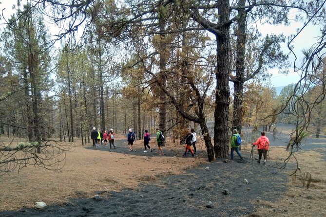 Full Day Tour with Hiking to the Tajogaite Volcano - La Laguna: seeing where lava changed daily life