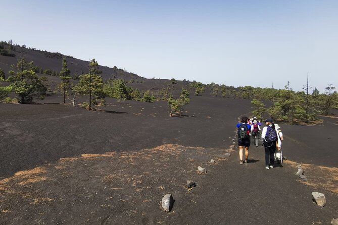 Full Day Tour with Hiking to the Tajogaite Volcano - Llano del Jable: the walking section toward the crater