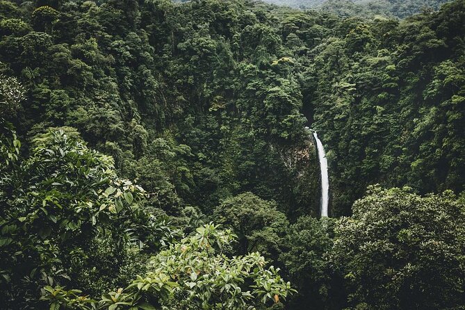 Full Day Tour with Safari Float, Waterfall and Volcano Hike - Key points to know before booking