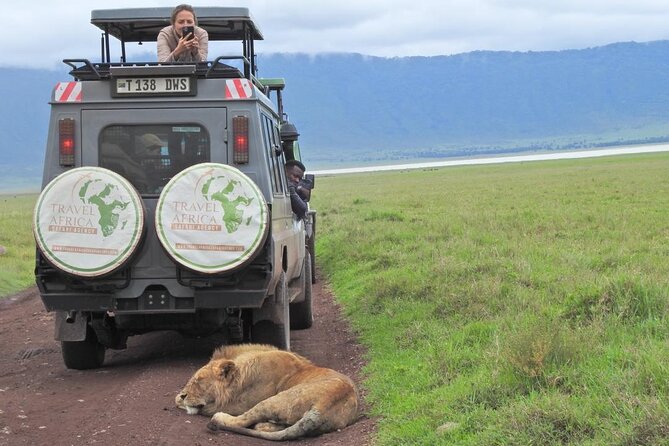 Full-Day Trip to Ngorongoro Crater from Arusha Town - Reaching the crater rim and floor