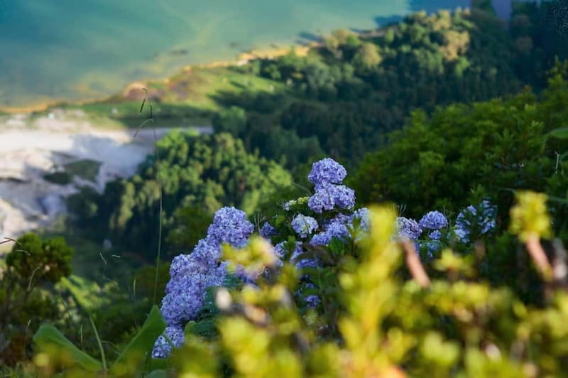 Furnas: Hot Springs, Crater Lake & Geothermal Wonders - What makes this São Miguel day trip worth considering