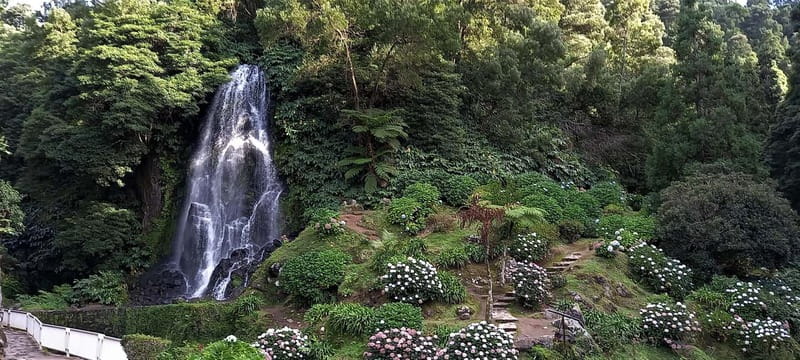 Furnas: Hot Springs, Crater Lake & Geothermal Wonders - A full east São Miguel day from Ponta Delgada