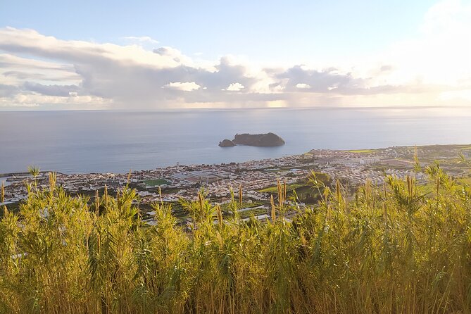 Furnas Volcano & Tea Plantation With Traditional Lunch, East Tour - Terra Nostra Park and the €17 decision