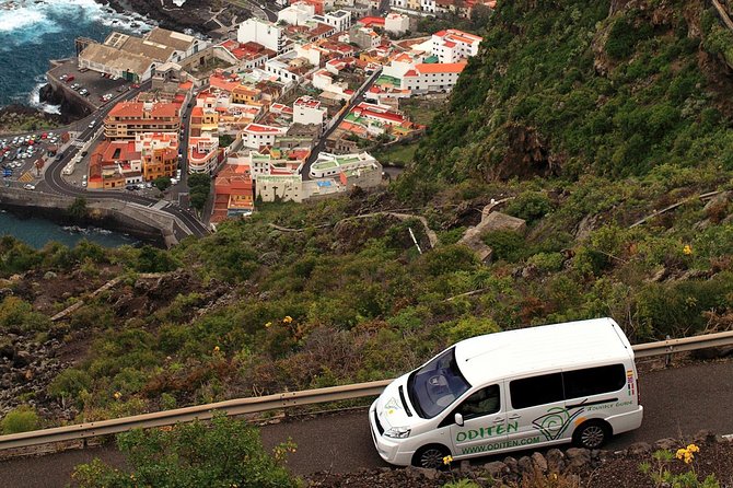 Get to know the Teide National Park and the north of Tenerife on a private tour - Why Teide makes a strong half-day outing