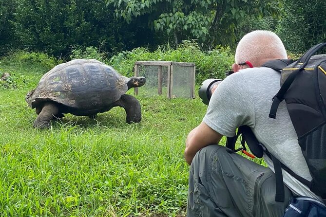 Giant Turtle Watching and Lava Tunnels Tour - Who will get the most from this visit