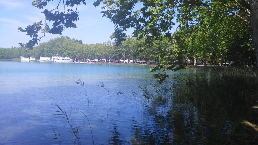 Girona: Volcano Area, Besalú, and Banyoles Lake Tour - The van, group size, and guide make a difference