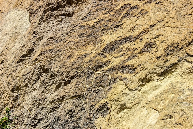 Gobustan and Mud volcanoe GROUP TOUR - Practical advice for a smoother morning