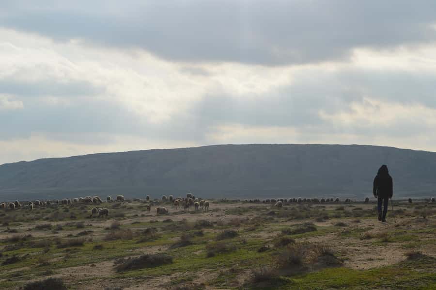 Gobustan, Mud Volcano, Burning Land and Fire Temple Tour - Five things to know before you go