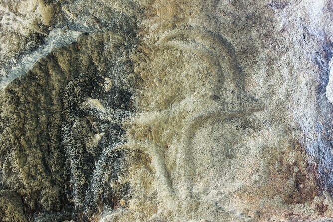 Gobustan, Mud volcanoes, Fire temple, Fire mountain PRIVATE TOUR - Who should book this tour?
