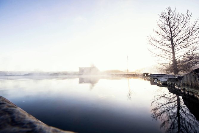 Golden Circle, Secret Lagoon and Kerid Crater Tour from Reykjavik - Guides, drivers and the human side of the day