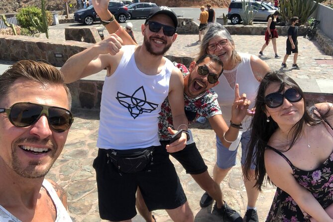 Gran Canaria Premium Tour: Volcanoes and Wine for cruisers - Key points to know before booking