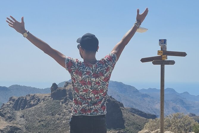 Gran Canaria Premium Tour: Volcanoes and Wine for cruisers - What the $270.64 price really buys
