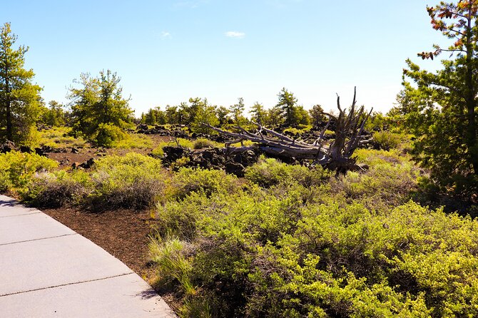Guided Full-Day Tour to Craters of the Moon National Monument & Preserve - The Twin Falls sights add value to the day