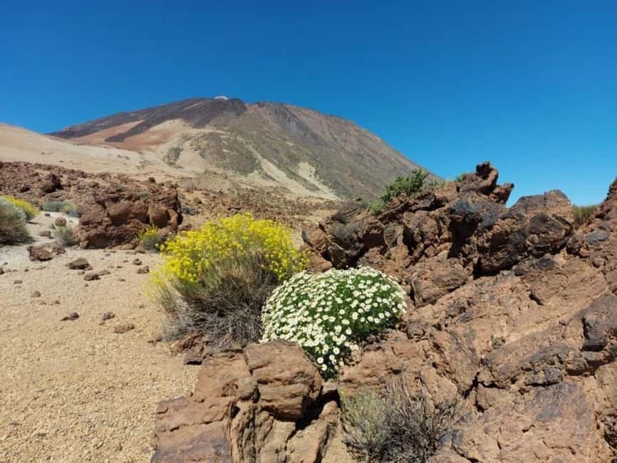Guided tour of Roques de Garcia - Teide National Park - Key points at a glance