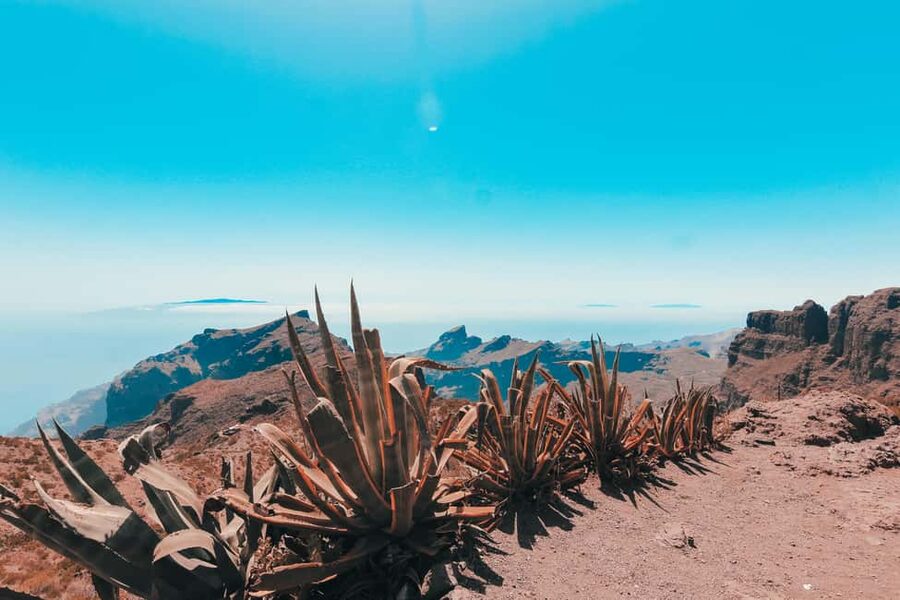 Guided tour of Roques de Garcia - Teide National Park - Walking among the Roques de García