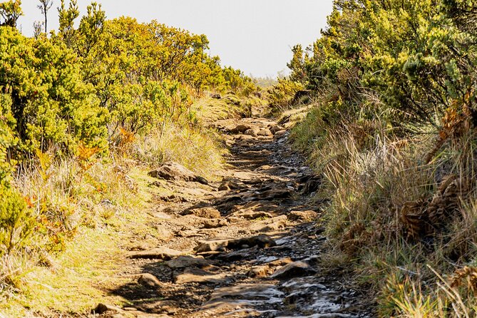 Haleakala Crater Hiking Experience - A quiet volcanic world with rare plants and birds