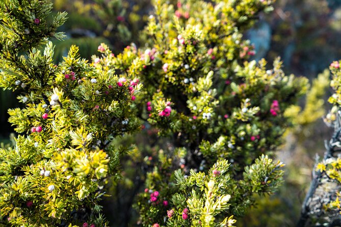 Haleakala Crater Hiking Experience - Guides who shape the day