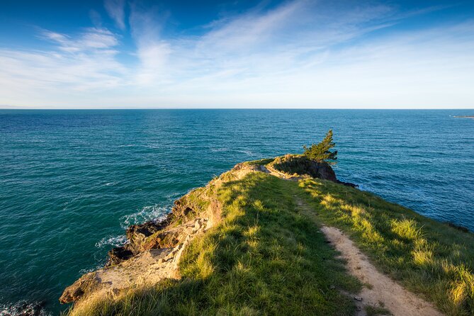 Half Day Luxury Private Guided Crater Rim Walk - From Christchurch to Sumner in about 30 minutes
