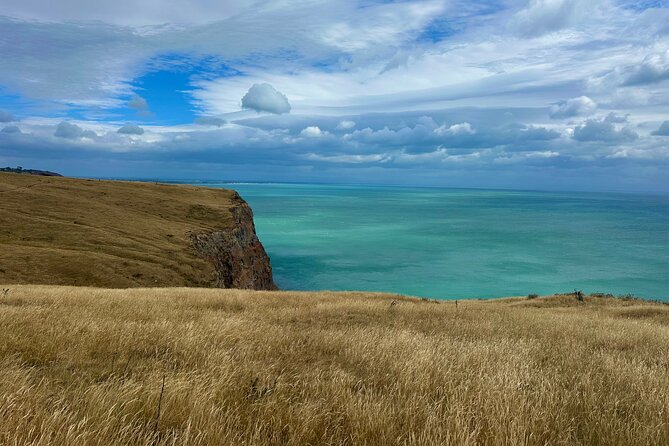 Half Day Luxury Private Guided Crater Rim Walk - A guide-led walk instead of a self-guided outing