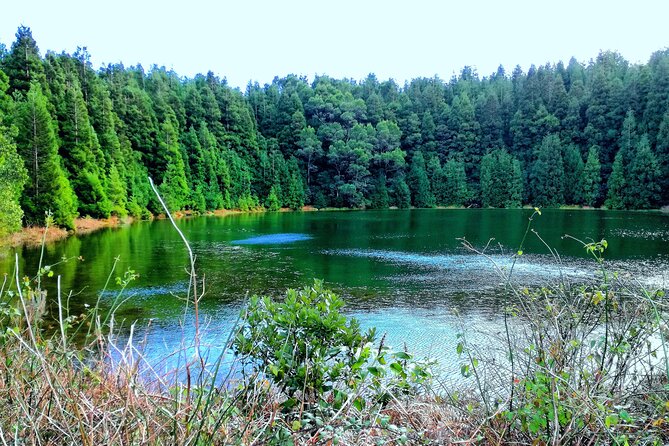 Half Day Sete Cidades Crater Minivan Tour - Lagoa Verde and Lagoa Azul from several angles