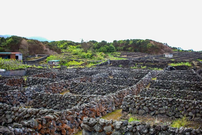 Half Day Tour - Algar do Carvão Lava Route - Starting in Angra do Heroísmo