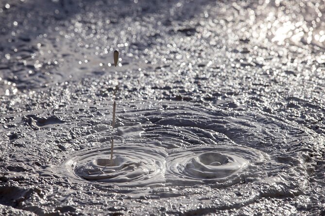 Half-Day Tour - Ex Rotorua: WAI-O-TAPU Thermal Wonderland - The mud pool sets the tone