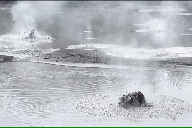Half-Day Tour - Ex Rotorua: WAI-O-TAPU Thermal Wonderland - Booking and cancellation details