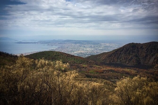 Half-Day Vesuvius Drive and Summit Hike from Naples with Lunch - Driving up Mount Vesuvius National Park