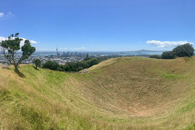 Half-Day Volcano Tour from Auckland - Five things to know before you book
