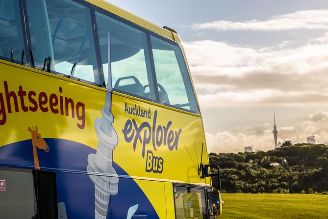 Half-Day Volcano Tour from Auckland - Mangere Mountain adds harbour views and settlement history