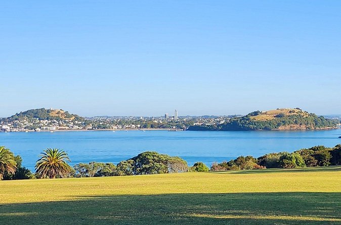 HalfDay Private Volcano Tour in Auckland Explore the City of Fire - Maungakiekie / One Tree Hill: volcanic and cultural meaning