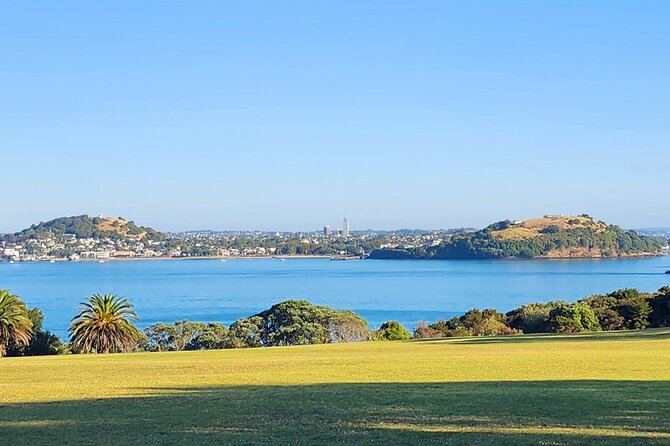 HalfDay Private Volcano Tour in Auckland Explore the City of Fire - Is $170.66 good value?