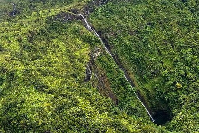 Hana Rainforest and Haleakala Crater Helicopter Tour - Pilots make a big difference