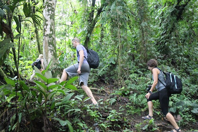 Hanging Bridges & Arenal Volcano with Lunch and Hotsprings - Guide quality is a major part of the value