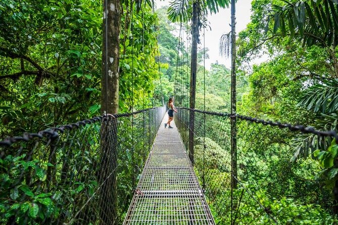 Hanging Bridges Walk in Arenal Volcano - What the Mistico Park Walk Is Really Like