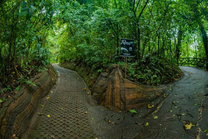 Hanging Bridges Walk in Arenal Volcano - Six Hanging Bridges and Ten More Crossings