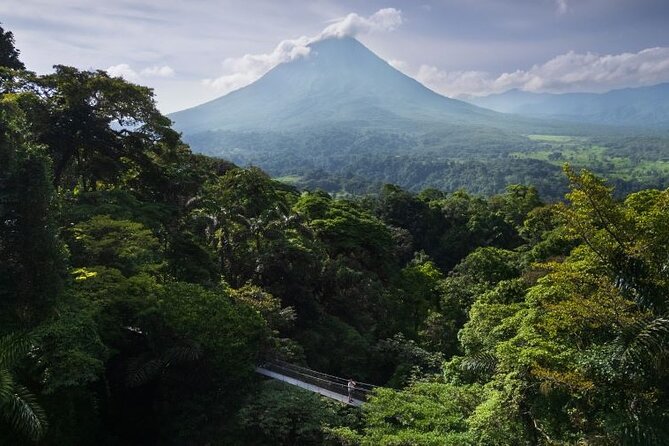 Hanging Bridges Walk in Arenal Volcano - Self-Guided or Guided: Which Makes Better Sense?