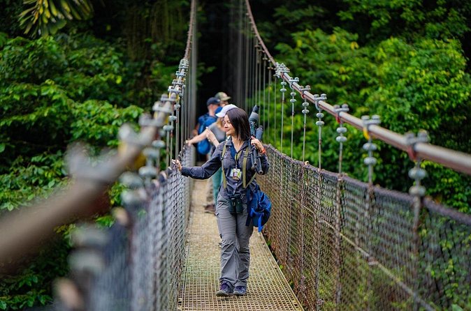 Hanging Bridges Walk in Arenal Volcano - Is $39 a Fair Price?