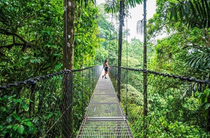 Hanging Bridges Walk in Arenal Volcano - Getting There and Planning the Morning