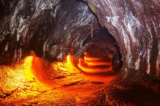 Hawai‘i Volcanoes National Park Shuttle Tour - Walking through Thurston Lava Tube
