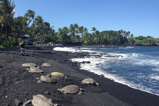 Hawaii Big Island Circle Small Group Tour: Waterfalls - Hilo - Volcano - Black Sand Beach - Key points to know before booking