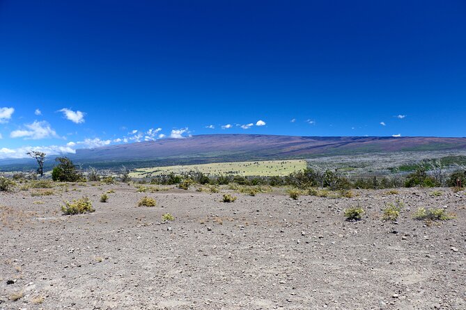 Hawaii Volcanoes National Park and Hilo Highlights Small Group Tour - Walking through Nahuku, the Thurston Lava Tube