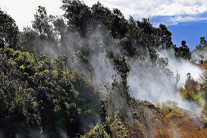 Hawaii Volcanoes National Park Experience Departing from Oahu - Greenwell Farms and the Kona coffee country