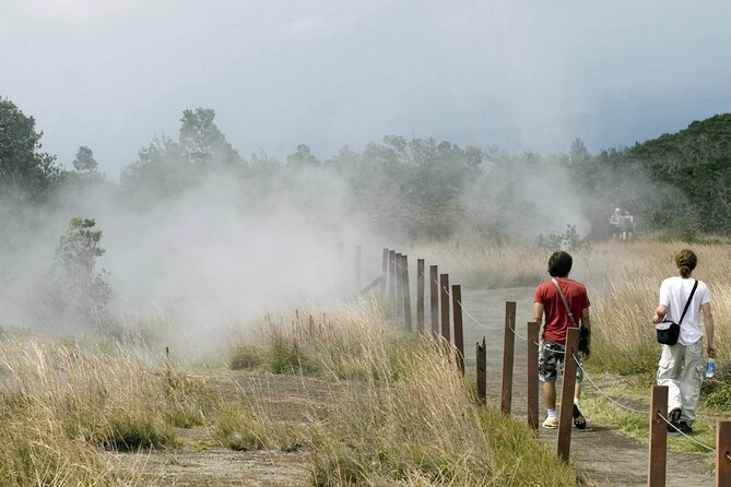 Hawaii Volcanoes National Park Experience from Maui - Food, comfort, and the long van day