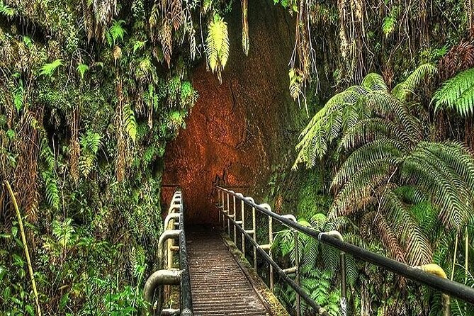 Hawaii Volcanoes National Park Experience From the Big Island - Vehicle comfort, timing, and pickup details