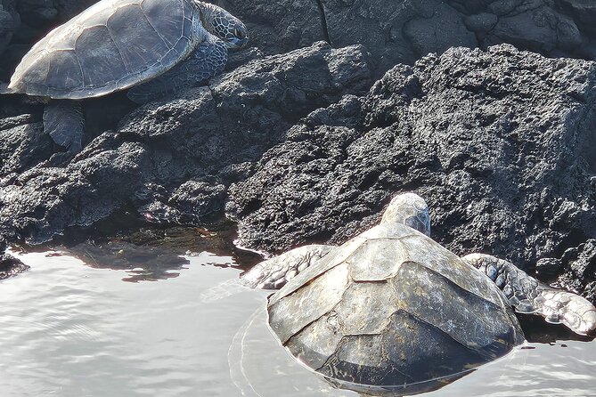 Hawaii Volcanoes, Waterfalls, Beaches & Hilo Highlights Day Tour - Why Justin makes a difference