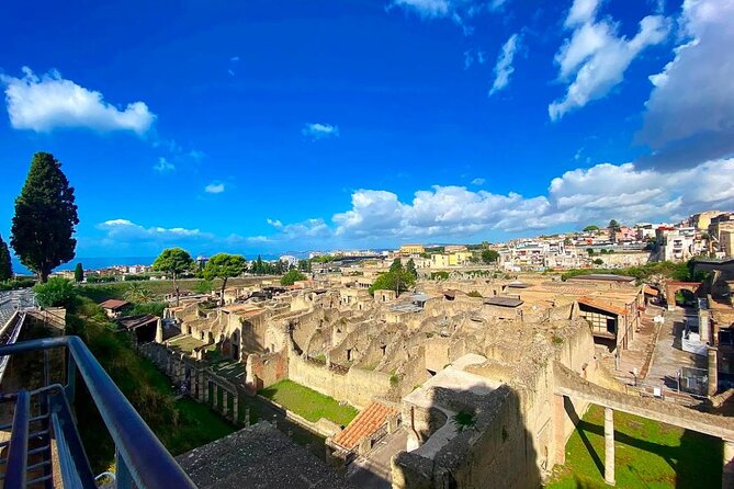 Herculaneum and Vesuvius Private Tour from Naples - Herculaneum: two hours among preserved Roman homes